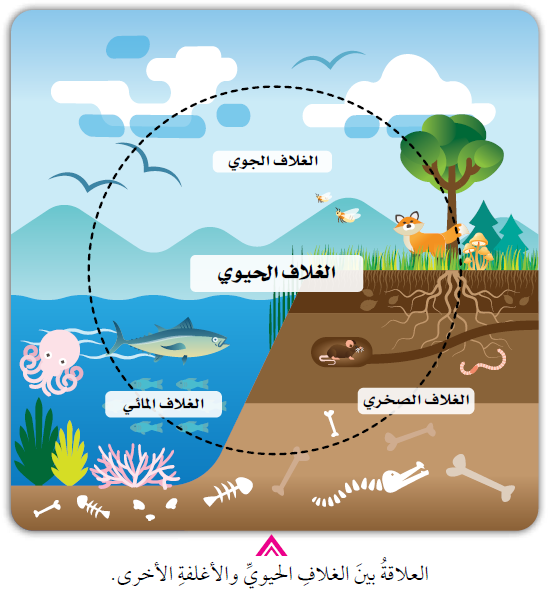 الغلاف الحيوي والأغلفة الأرضية الأخرى